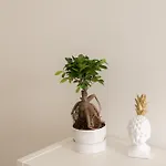 Apartmán Casasupertubos - 9, 11 & 12