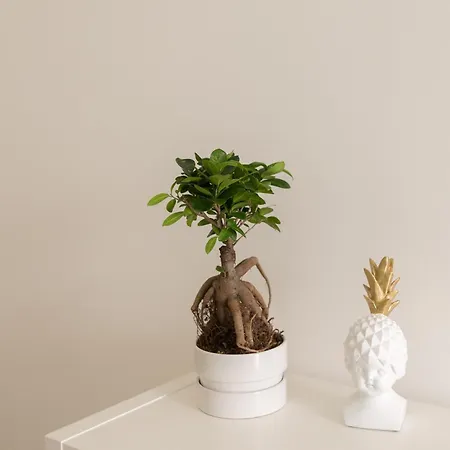 Apartamento Casasupertubos - 9, 11 & 12