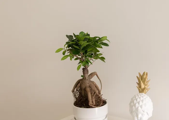 Apartment Casasupertubos - 9, 11 & 12